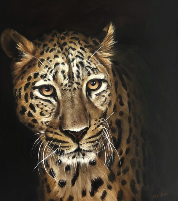 Peinture à l'huile sur toile de léopard par l'artiste peintre animalier chris rossi