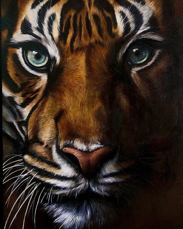 Peinture à l'huile sur toile de tigre par l'artiste peintre animalier chris rossi