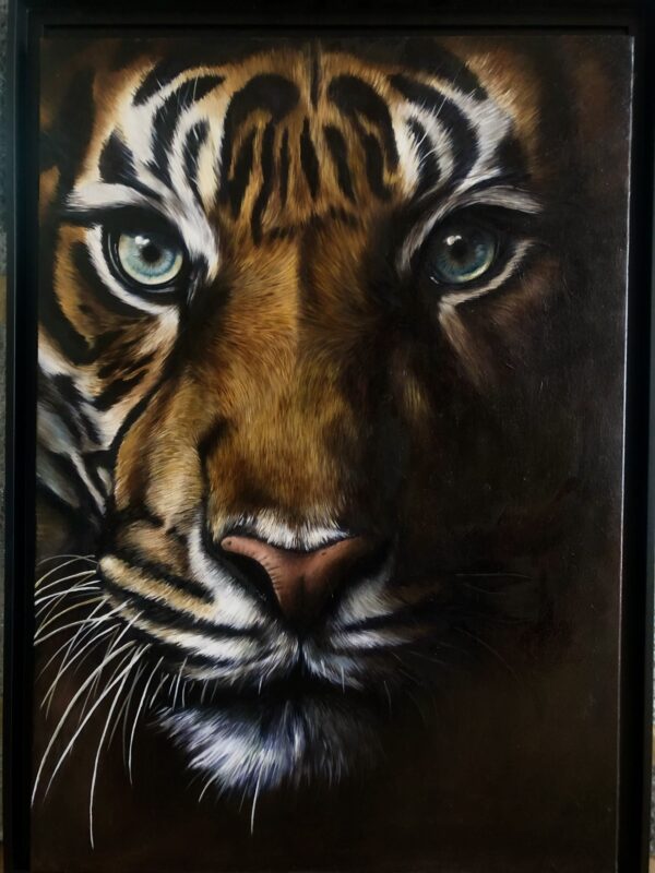 Peinture à l'huile sur toile encadré de tigre par l'artiste peintre animalier chris rossi galerie d'art