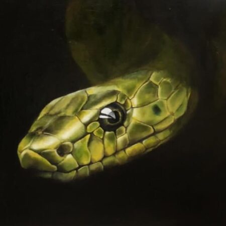 peinture animaliere a l'huile de serpent vert mamba vert par l'artiste peintre animalier chris rossi