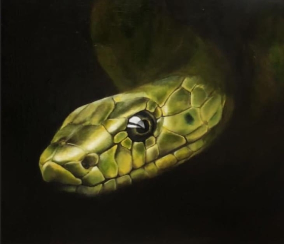 peinture animaliere a l'huile de serpent vert mamba vert par l'artiste peintre animalier chris rossi