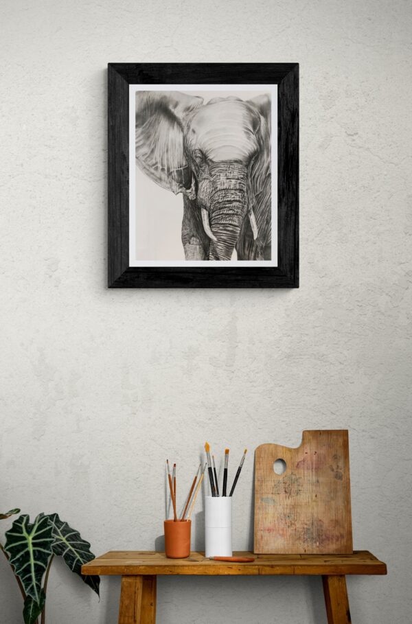 Dessin au graphite crayon d'un éléphant par l'artiste peintre animalier chris rossi dessin afrique contemporain animal en galerie