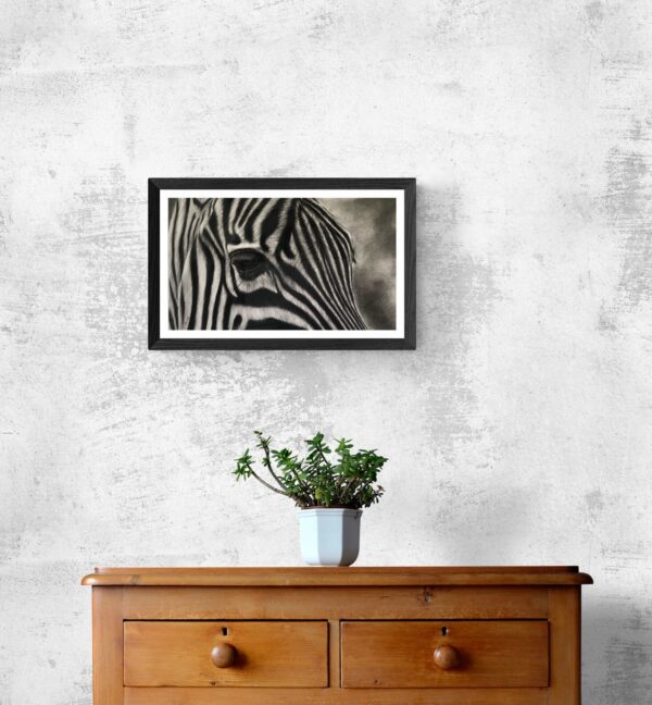 Dessin au fusain de zèbre sur papier par l'artiste animalière chris rossi dessin animal afrique mis en situation galerie
