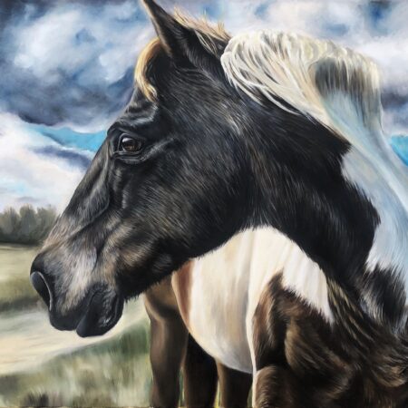 peinture à l'huile d'un cheval par l'artiste peintre chris rossi cheval equestre équine fine art galerie