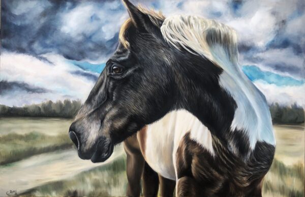 peinture à l'huile d'un cheval par l'artiste peintre chris rossi cheval equestre équine fine art galerie