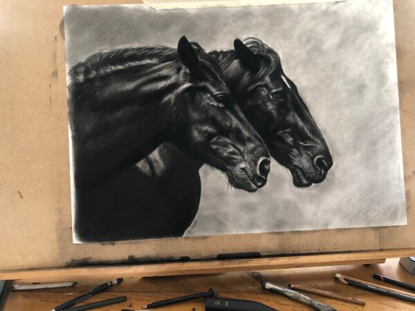 dessin au fusain de chevaux par l'artiste peintre animalier chris rossi art équin equestre équitation camargue
