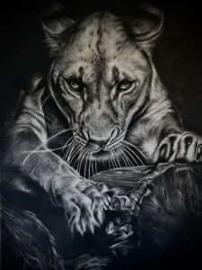 dessin animalier de lionne "l'empriise" au fusain par l'artiste peintre animaliere chris rossi art