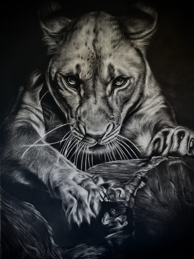 dessin animalier de lionne "l'empriise" au fusain par l'artiste peintre animaliere chris rossi art