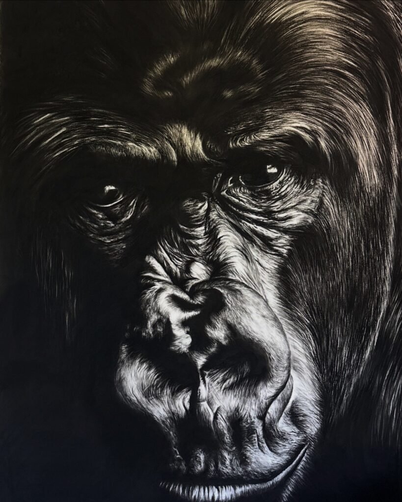 dessin au fusain hyperréalisme gorille