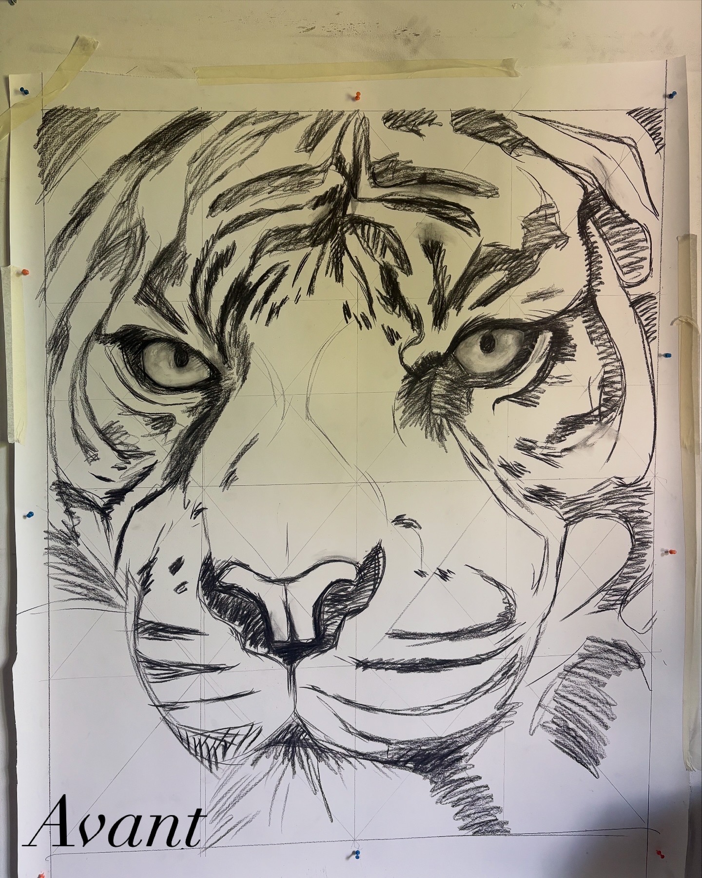 Présence Avant oeuvre au fusain de tigre fusain hyperréalisme