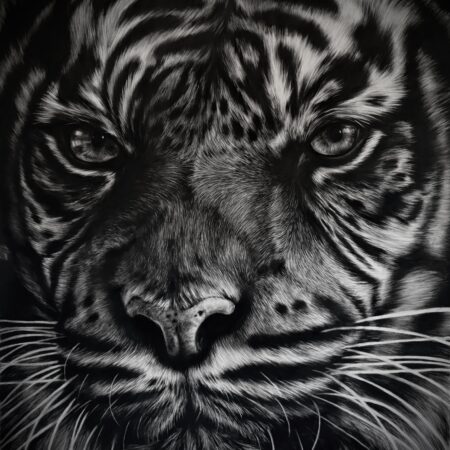 oeuvre au fusain de tigre fusain hyperréalisme