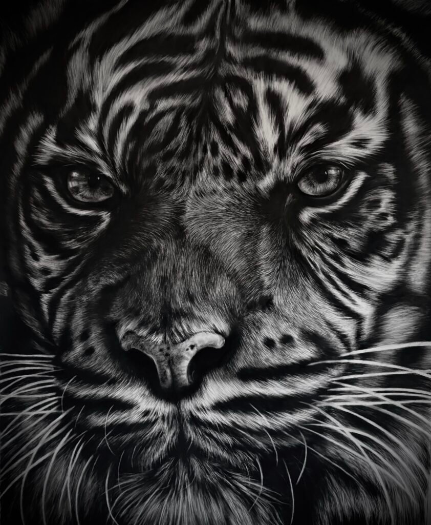 oeuvre au fusain de tigre fusain hyperréalisme