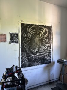 dessin au fusain de tigre vue d'atelier